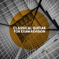 Concerto for Guitar and Violin: III. Allegro_Wiener Solisten,Giuseppe Torelli