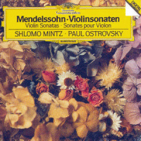 III. Allegro agitato (第三乐章 激动的快板)_Shlomo Mintz,Paul Ostrovsky