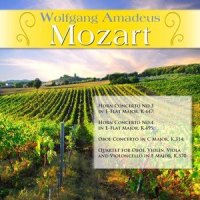 Quartet for Oboe, Violin, Viola and Violoncello in F Major, K.370 III. Rondo-Allegro_Wolfgang Amadeus Mozart,Various Artists