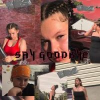 Say Goodbye_Sirisafari,Chris Brown,LilTrxptendo