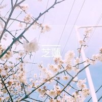 서툰감정_JY