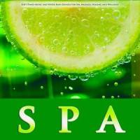 Tranquil Spa Music With Rain Sounds_Spa Music Relaxation,Spa,Nature Sounds