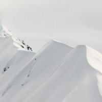 Peek_Tülpa,BLANKTS