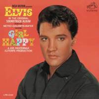 Do Not Disturb_Elvis Presley