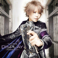 DISPLAY_VALSHE