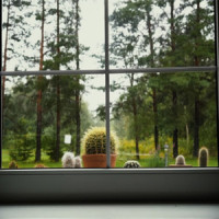 Longest Walk_Spa,Sleep Sound Library,Sleep Sounds of Nature