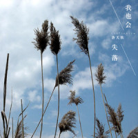 我也会失落_洛天依
