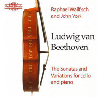 Variation IV (变奏四)_Raphael Wallfisch,John York