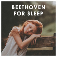 Beethoven: String Quartet No. 14 in C-Sharp Minor, Op. 131 - 6. Adagio quasi un poco andante - attacca: (Live|Version for String Orchestra by Dimitri Mitropoulos)_Wiener Philharmoniker,Leonard Bernstein
