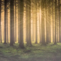 Sleep & Mindfulness_Sleep Sound Library,Deep Sleep Music Collective,Spa