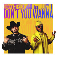 Don't You Wanna_Denny Strickland,Juicy J