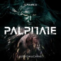 A Beautiful Combination_Audiomachine