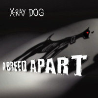 My Home(Orchestral Version)_X-Ray Dog