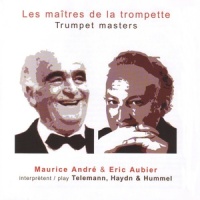Concerto pour trompette en Ré majeur Allegro_Eric Aubier,Vincent Barthe