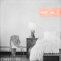 Raincoat_Timeflies,Caleb Frank Shapiro,Robert Ziff Resnick,Nirob Islam,Shy Martin