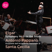 Symphony No. 1 in A-Flat Major, Op. 55: II. Allegro molto (Live)_Antonio Pappano,Orchestra dell'Accademia Nazionale di Santa Cecilia,Edward Elgar