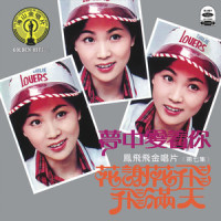 不容易遇见你_凤飞飞