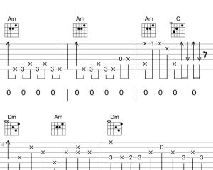 你是我的玫瑰花