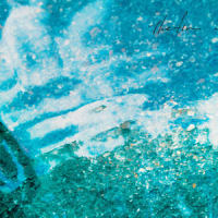 Snow (again)_The fin.