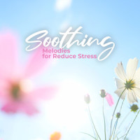 Time to Unwind_Relaxed Minds,Spa,Relaxation and Dreams,Anti Stress Music Zone