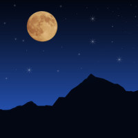 Seismic Calm_Sleepy Times,Reiki,Spa