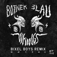 Vikings_Botnek,3LAU
