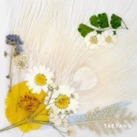 AMAZIN'_TAEYANG