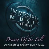 Enigma_Immediate Music