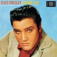 Party_Elvis Presley