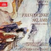 Violin Sonata in A Major, FWV 8: I. Allegretto ben moderato_Josef Suk,Jan Panenka