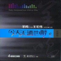 欢笑的日子_王宏伟