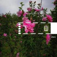 下山大合唱_starry,乐正绫,洛天依