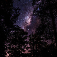 Endless Tropics_Sleepy Times,Spiritual Fitness Music,Sounds Of Nature : Thunderstorm