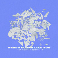 NEVER GONNA LIKE YOU_Bea Miller,Snakehips