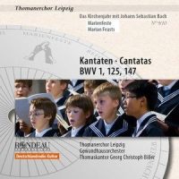 IV. Ein ird'scher Glanz, ein leiblich Licht_Gewandhausorchester,Georg Christoph Biller,Johann Sebastian Bach,Gotthold Schwarz