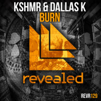 Burn_KSHMR,DallasK