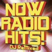 Hips Don'T Lie(As Made Famous By Shakira)_Various Artists,Wyclef Jean