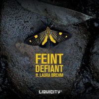 Defiant_Feint,Laura Brehm