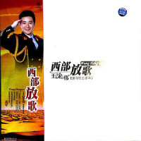 西部赞歌_王宏伟