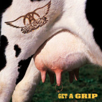 Flesh_Aerosmith