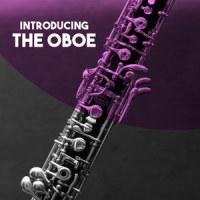 Trio No. 24 for Oboe, Bassoon & Basso Continuo in F Major: III. Largo_Gerhard Vetter,Richard Urech,Susanne Hess,George Friedrich Handel