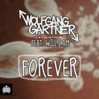 Forever_Wolfgang Gartner,will.i.am