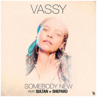 Somebody New_Vassy,Sultan & Shepard
