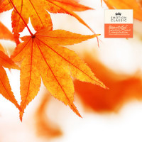 Rameau: Gavotte (Nture Ver.)_Jean-Philippe Rameau