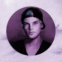 Levels_Luca Lush,Avicii
