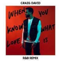 When You Know What Love Is_Craig David