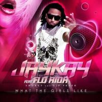 What The Girls Like_Jay Kay,Flo Rida