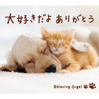 白日_Relaxing Orgel