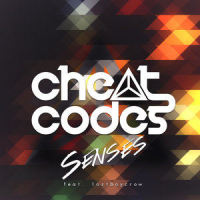 Senses_Cheat Codes,Lostboycrow