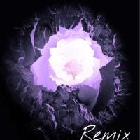 Without you_NORMA,Avicii
